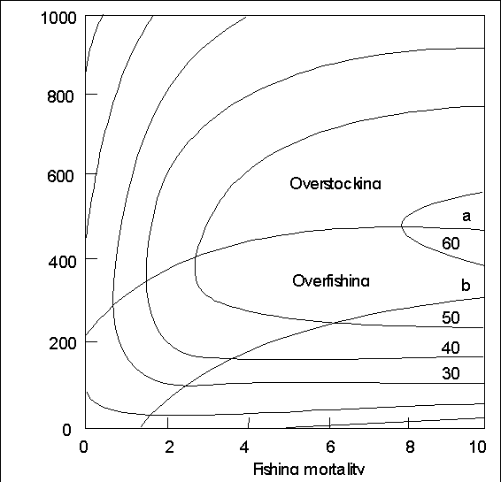 w7560e17.gif (8281 byte)