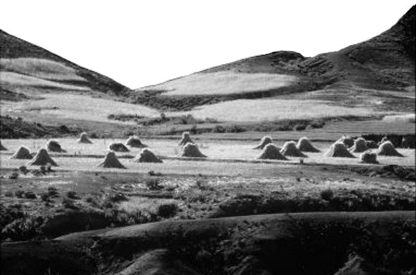 w7638e08.jpg (40765 bytes)