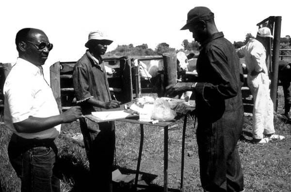 w7638e11.jpg (58115 bytes)