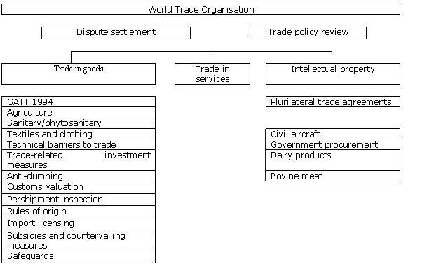 The organizational structure of the WTO