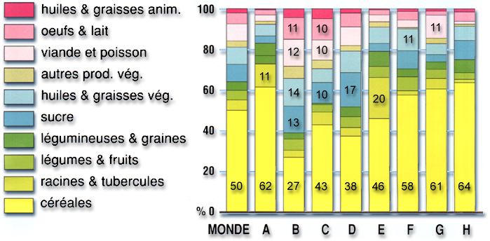 W8378f0o.jpg (219752 bytes)