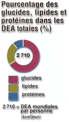 W8378f0q.jpg (92164 bytes)