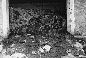 W8600t15.JPG (32868 bytes)