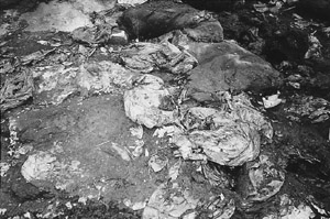 W8600t16.JPG (36795 bytes)