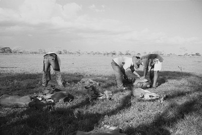 W8600t25.JPG (34462 bytes)