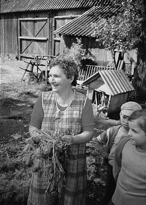 W8600t30.JPG (65261 bytes)