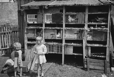 W8600t35.JPG (49671 bytes)