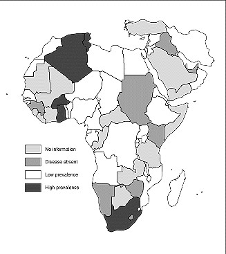 W8600t36.GIF (15121 bytes)