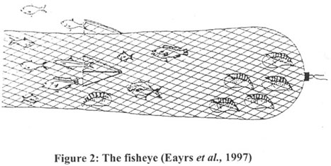 w9032e02.jpg (33269 byte)