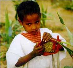 Boy in field