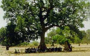 Rural radio: listening group