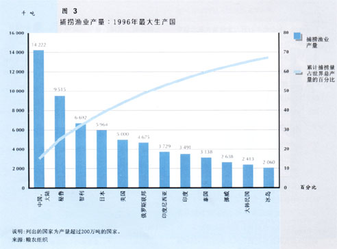 W9900C06.jpg (29604 bytes)