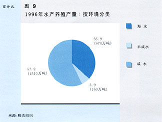W9900C12.jpg (12646 bytes)