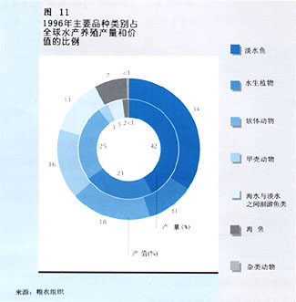 W9900C14.jpg (20002 bytes)