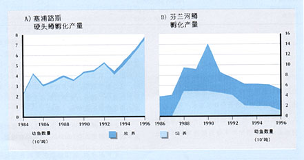 W9900C15.jpg (13961 bytes)