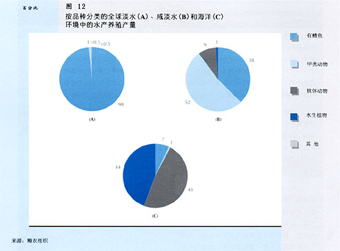 W9900C16.jpg (18707 bytes)