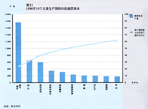 w9900c25.jpg (25618 bytes)