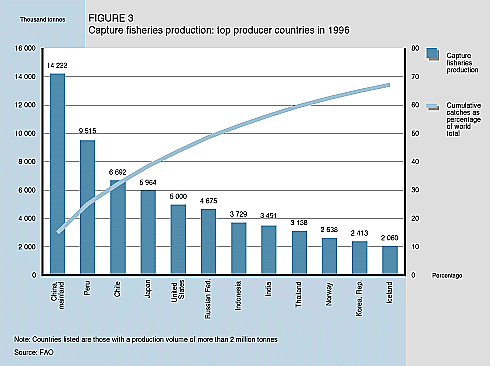 W9900e06.GIF (29604 bytes)