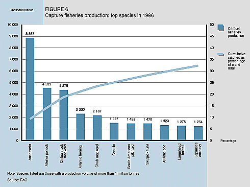 W9900e09.GIF (29139 bytes)