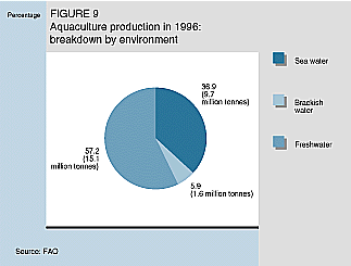 W9900e12.GIF (12646 bytes)