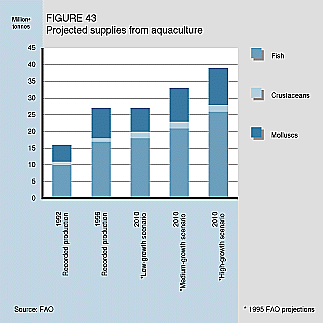 W9900e47.GIF (20638 bytes)