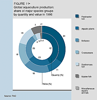 W9900e14.GIF (20002 bytes)