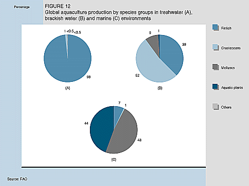 W9900e16.GIF (18707 bytes)