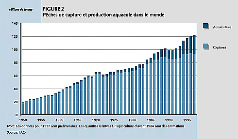 W9900f05.GIF (22826 bytes)