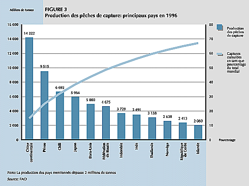 W9900f06.GIF (29963 bytes)