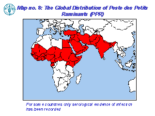 X4260e6.gif (5803 bytes)