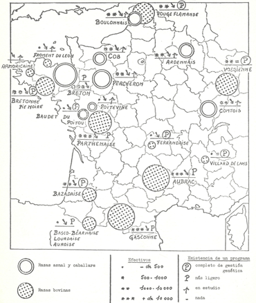 animal genetic resources
conservation and management