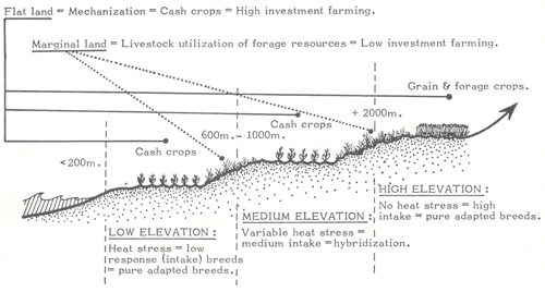 animal genetic resources
conservation and management