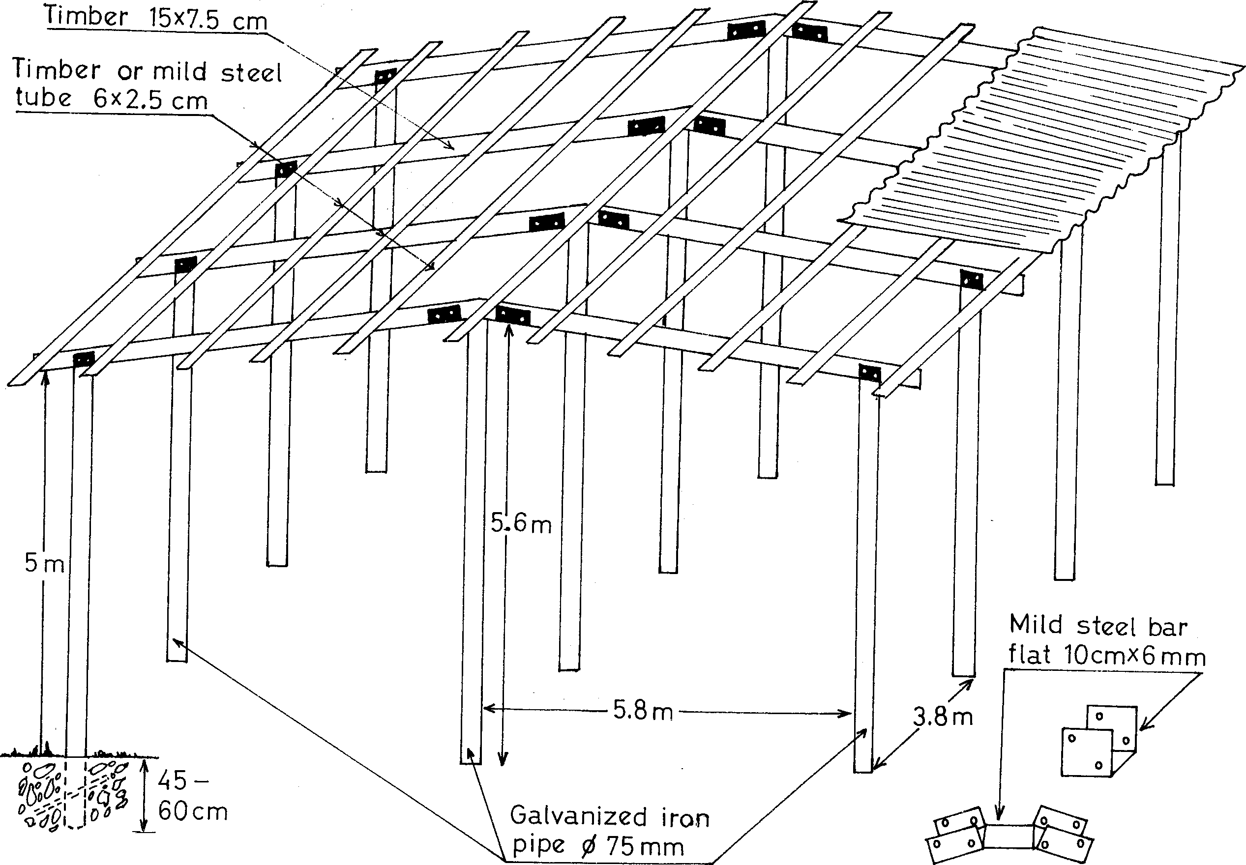 intensive sheep production in the near east