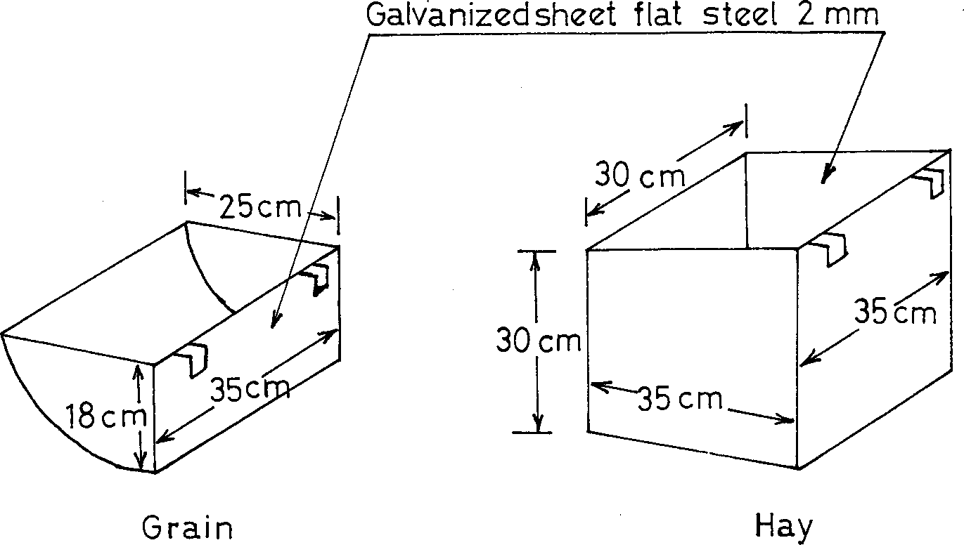 intensive sheep production in the near east