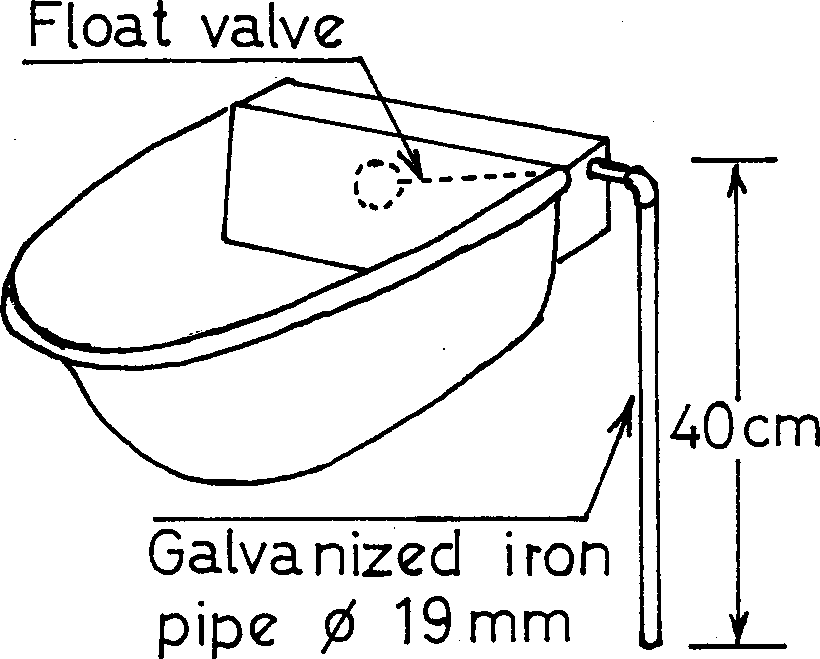 intensive sheep production in the near east