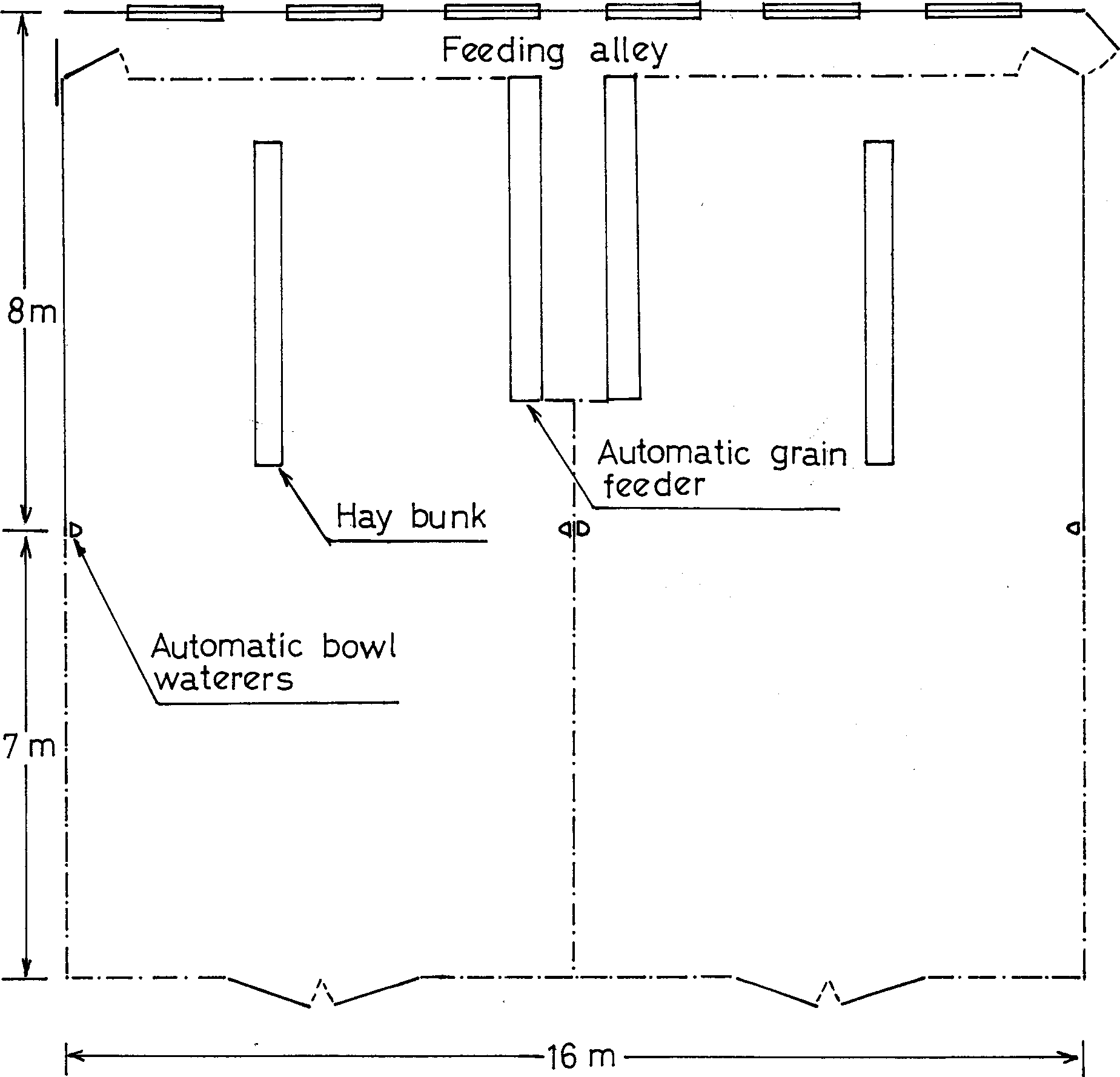 intensive sheep production in the near east