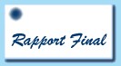 Final Report