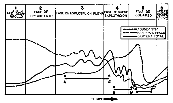 Figura 7b