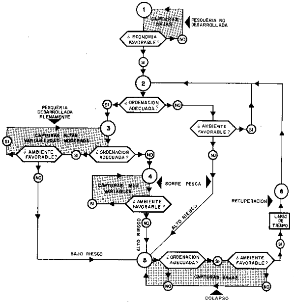 Fig 8
