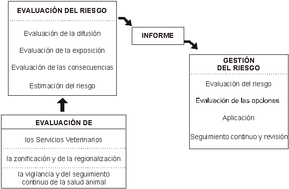 Figura 2 Relaciones entre los procesos de evaluación del riesgo y de gestión del riesgo