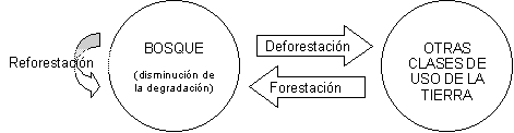 Undisplayed Graphic