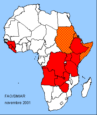 Afrique