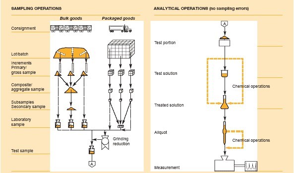 Food Composition Data