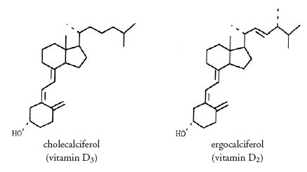 Food Composition Data