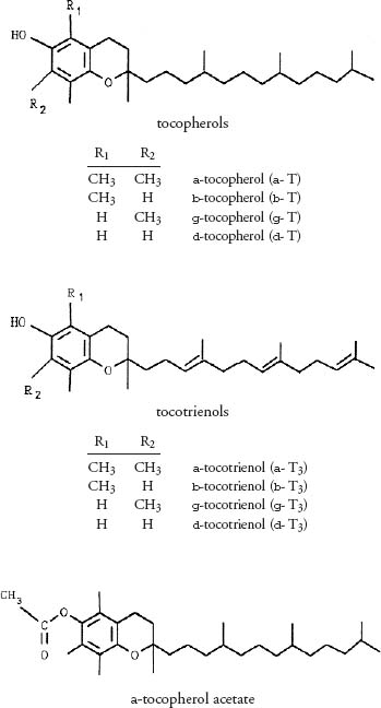 Food Composition Data