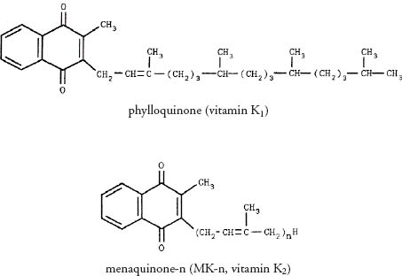 Food Composition Data