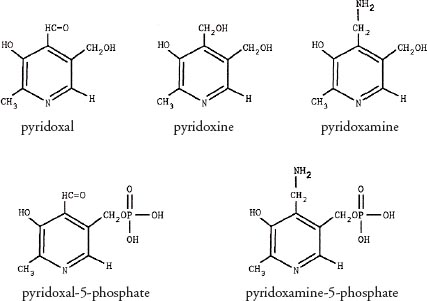 Food Composition Data