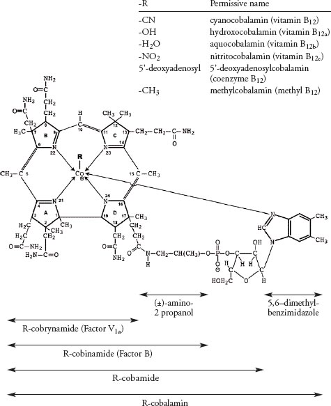 Food Composition Data