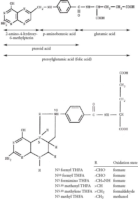 Food Composition Data