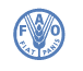 FAO logo